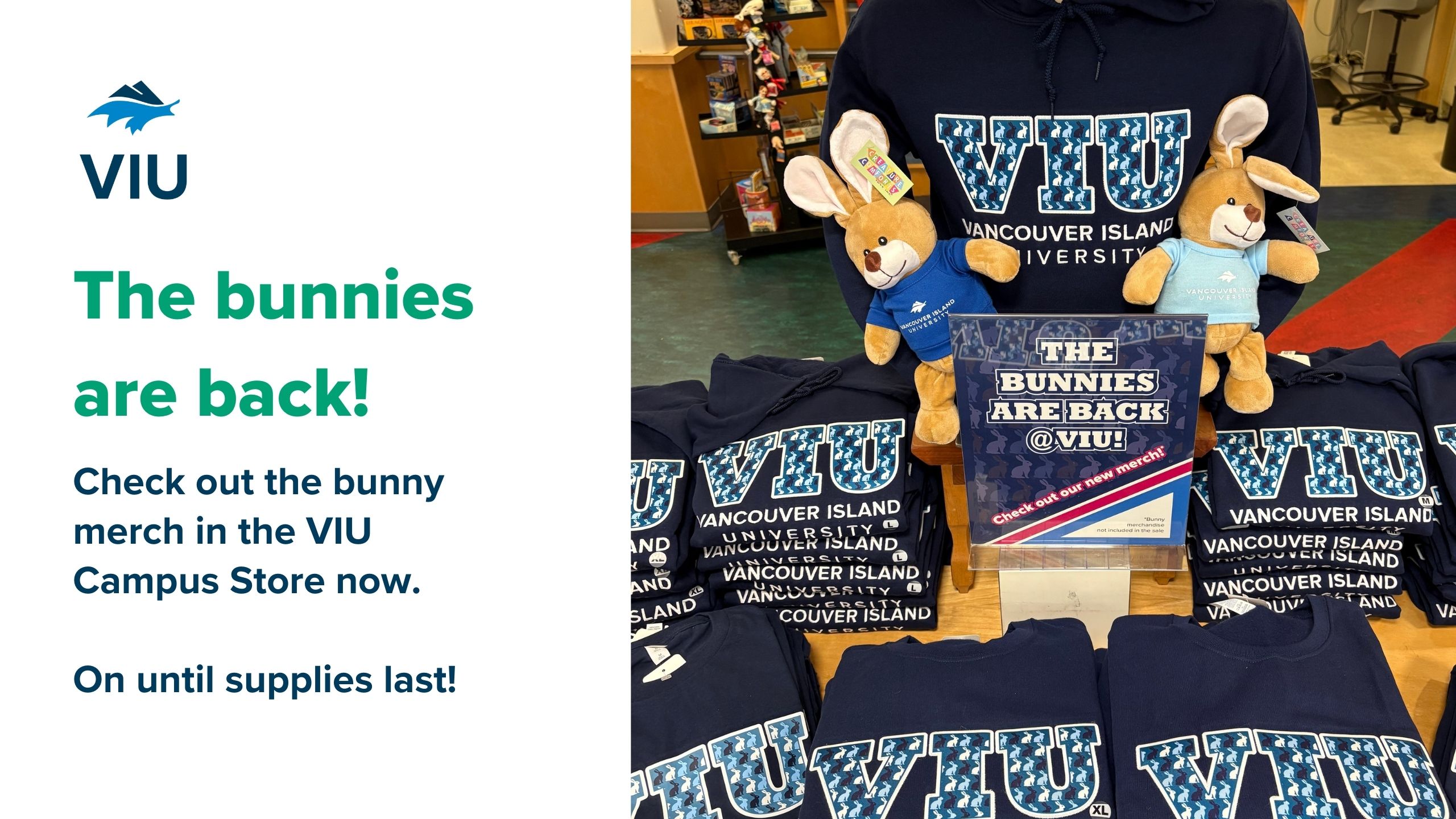 Bunny merch in Campus Store digital ad