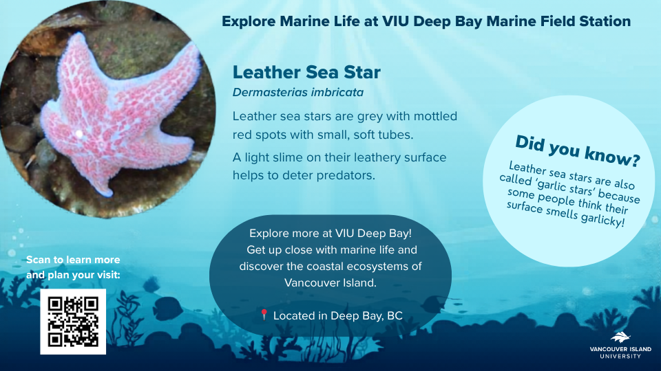 VIU Deep Bay Station 